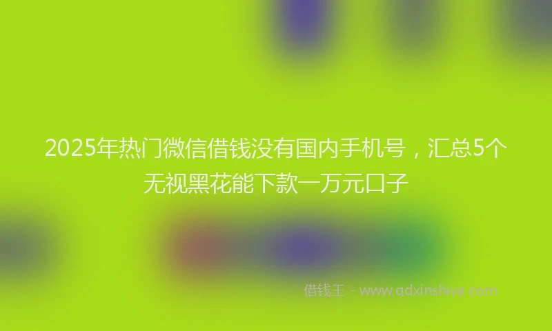 2025年热门微信借钱没有国内手机号，汇总5个无视黑花能下款一万元口子