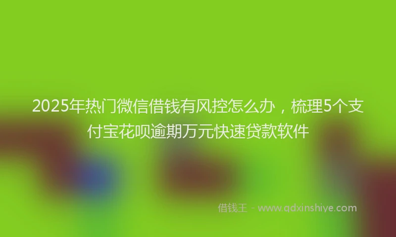 2025年热门微信借钱有风控怎么办，梳理5个支付宝花呗逾期万元快速贷款软件