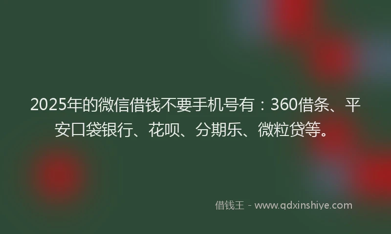 2025年的微信借钱不要手机号有：360借条、平安口袋银行、花呗、分期乐、微粒贷等。