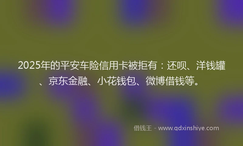 2025年的平安车险信用卡被拒有：还呗、洋钱罐、京东金融、小花钱包、微博借钱等。