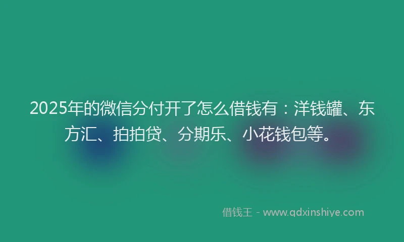 2025年的微信分付开了怎么借钱有：洋钱罐、东方汇、拍拍贷、分期乐、小花钱包等。