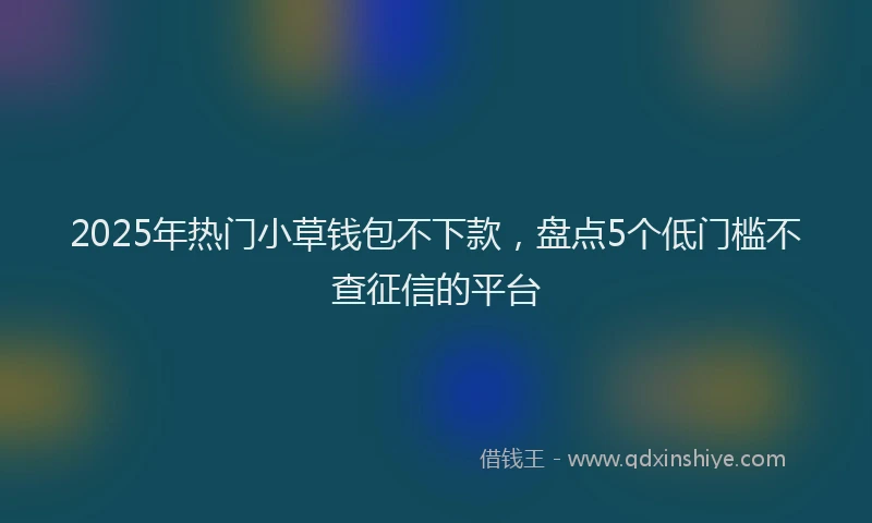 2025年热门小草钱包不下款，盘点5个低门槛不查征信的平台