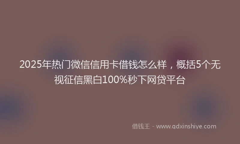 2025年热门微信信用卡借钱怎么样，概括5个无视征信黑白100%秒下网贷平台