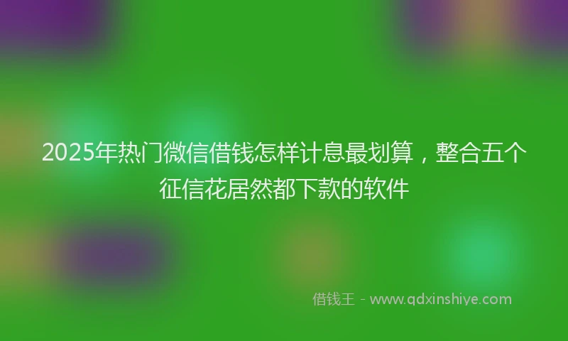 2025年热门微信借钱怎样计息最划算，整合五个征信花居然都下款的软件