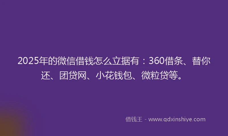 2025年的微信借钱怎么立据有：360借条、替你还、团贷网、小花钱包、微粒贷等。