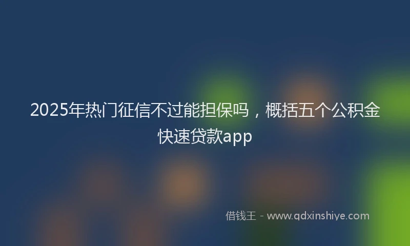 2025年热门征信不过能担保吗，概括五个公积金快速贷款app