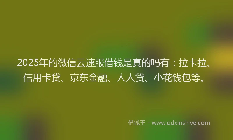2025年的微信云速服借钱是真的吗有：拉卡拉、信用卡贷、京东金融、人人贷、小花钱包等。