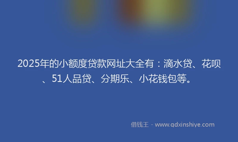 2025年的小额度贷款网址大全有：滴水贷、花呗、51人品贷、分期乐、小花钱包等。