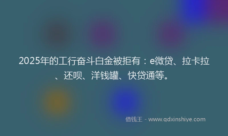 2025年的工行奋斗白金被拒有：e微贷、拉卡拉、还呗、洋钱罐、快贷通等。