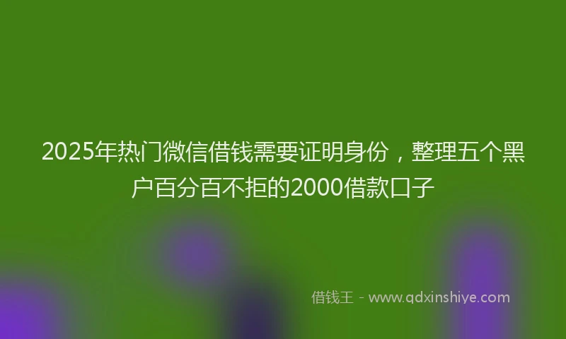 2025年热门微信借钱需要证明身份，整理五个黑户百分百不拒的2000借款口子