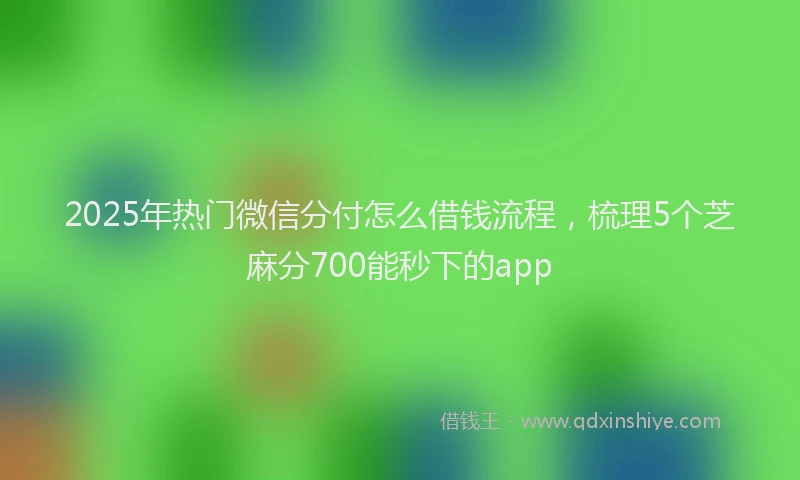 2025年热门微信分付怎么借钱流程，梳理5个芝麻分700能秒下的app