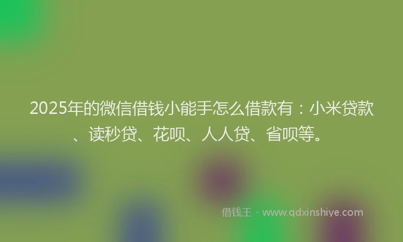 2025年的微信借钱小能手怎么借款有：小米贷款、读秒贷、花呗、人人贷、省呗等。