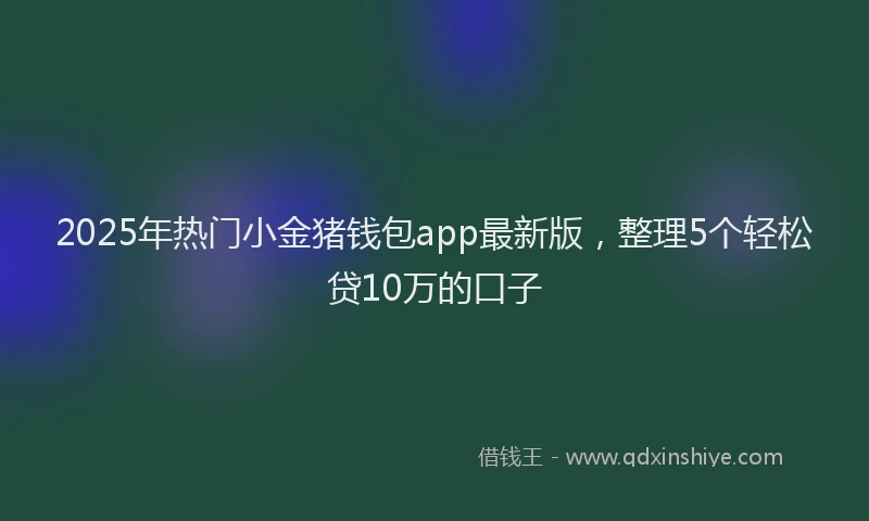 2025年热门小金猪钱包app最新版，整理5个轻松贷10万的口子
