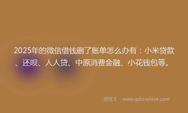 2025年的微信借钱删了账单怎么办有：小米贷款、还呗、人人贷、中原消费金融、小花钱包等。