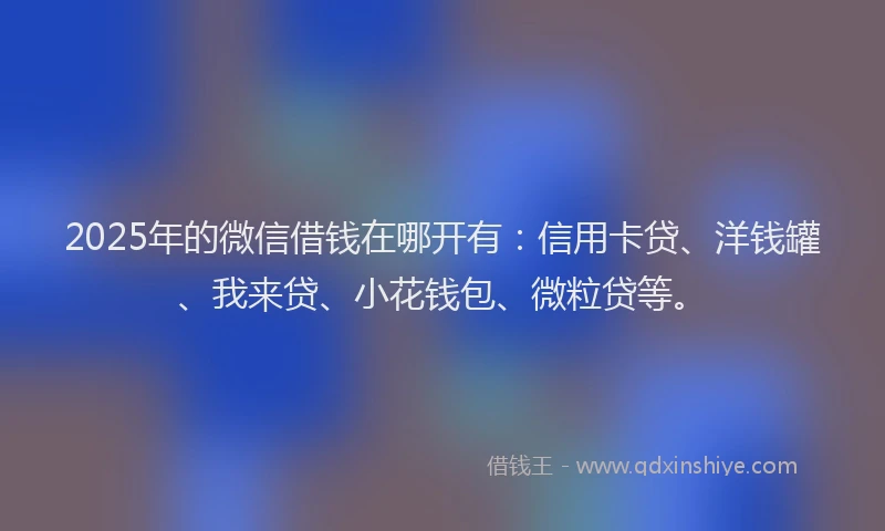 2025年的微信借钱在哪开有：信用卡贷、洋钱罐、我来贷、小花钱包、微粒贷等。