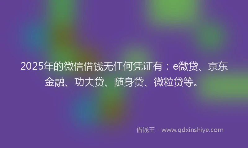 2025年的微信借钱无任何凭证有：e微贷、京东金融、功夫贷、随身贷、微粒贷等。