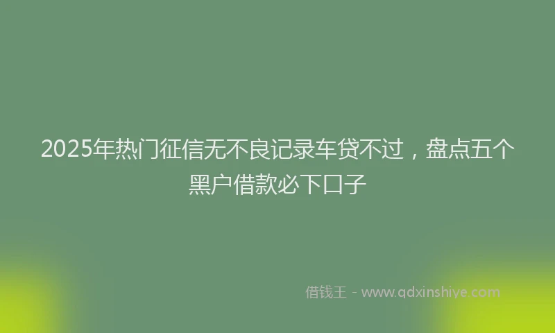 2025年热门征信无不良记录车贷不过，盘点五个黑户借款必下口子
