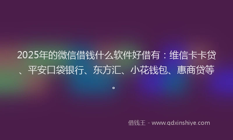 2025年的微信借钱什么软件好借有：维信卡卡贷、平安口袋银行、东方汇、小花钱包、惠商贷等。