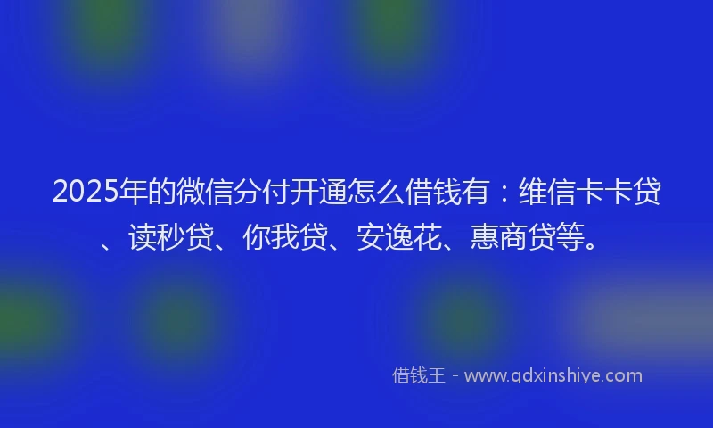 2025年的微信分付开通怎么借钱有：维信卡卡贷、读秒贷、你我贷、安逸花、惠商贷等。