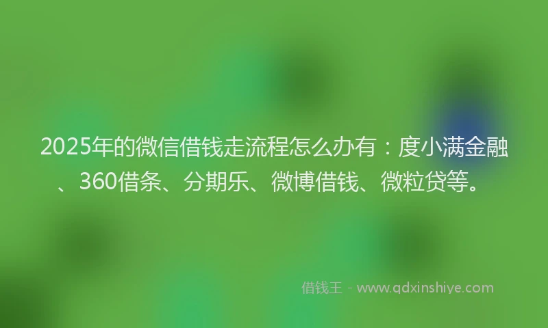 2025年的微信借钱走流程怎么办有：度小满金融、360借条、分期乐、微博借钱、微粒贷等。