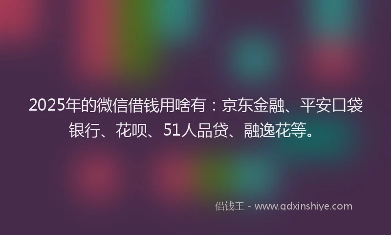 2025年的微信借钱用啥有：京东金融、平安口袋银行、花呗、51人品贷、融逸花等。