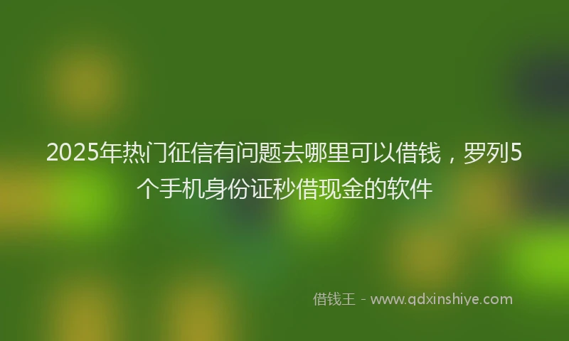 2025年热门征信有问题去哪里可以借钱，罗列5个手机身份证秒借现金的软件