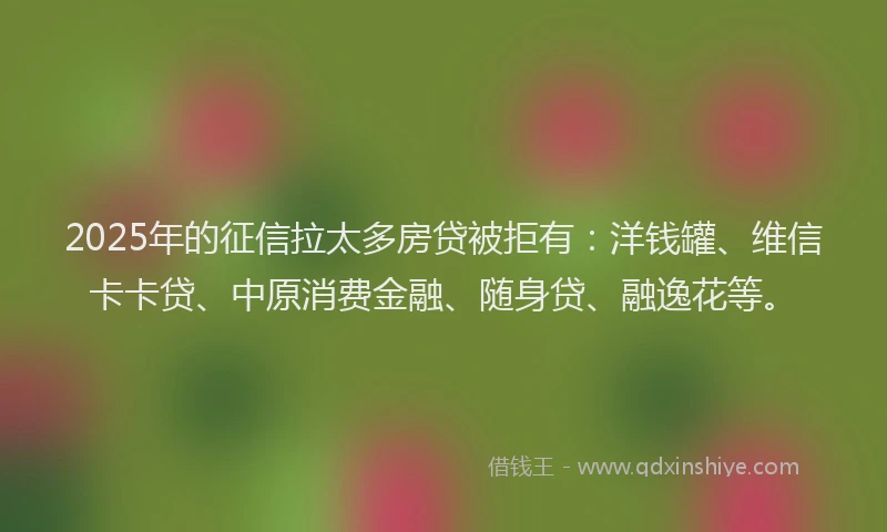 2025年的征信拉太多房贷被拒有：洋钱罐、维信卡卡贷、中原消费金融、随身贷、融逸花等。