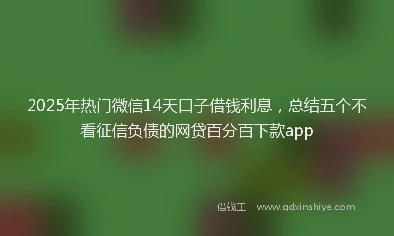 2025年热门微信14天口子借钱利息，总结五个不看征信负债的网贷百分百下款app