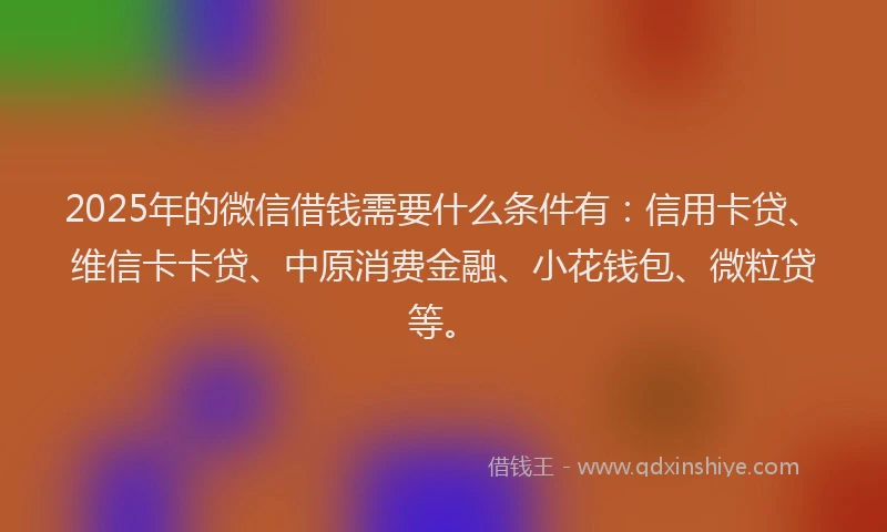 2025年的微信借钱需要什么条件有：信用卡贷、维信卡卡贷、中原消费金融、小花钱包、微粒贷等。