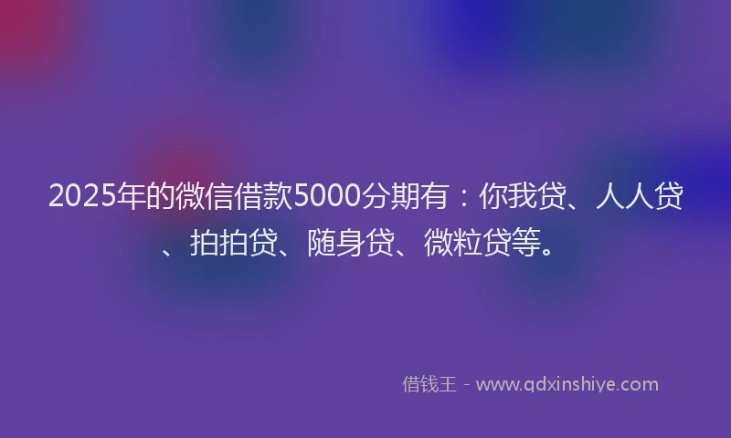 2025年的微信借款5000分期有：你我贷、人人贷、拍拍贷、随身贷、微粒贷等。