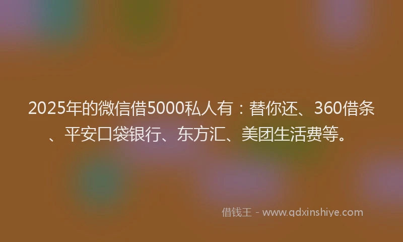 2025年的微信借5000私人有：替你还、360借条、平安口袋银行、东方汇、美团生活费等。