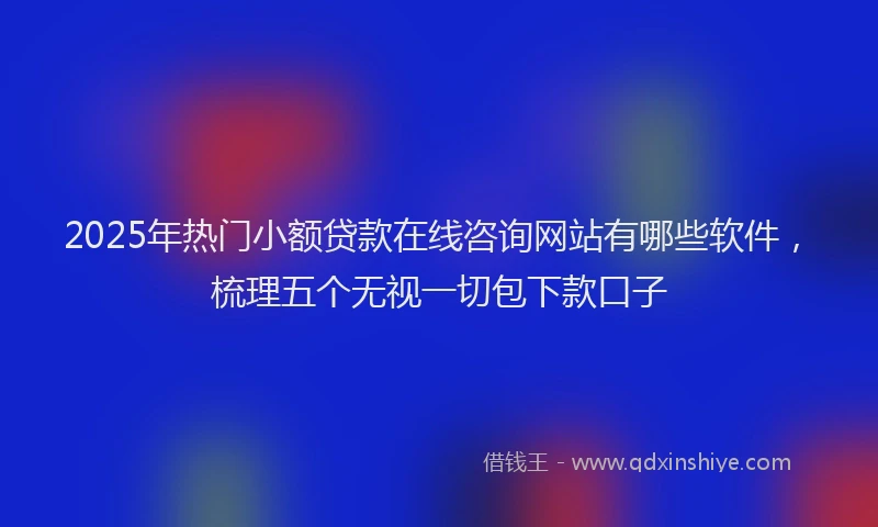 2025年热门小额贷款在线咨询网站有哪些软件，梳理五个无视一切包下款口子