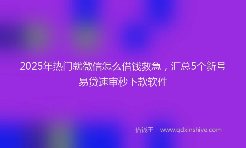 2025年热门就微信怎么借钱救急，汇总5个新号易贷速审秒下款软件