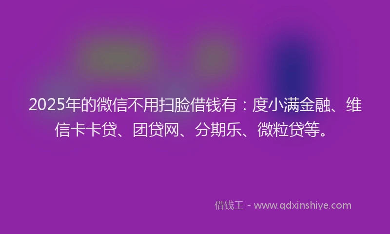 2025年的微信不用扫脸借钱有：度小满金融、维信卡卡贷、团贷网、分期乐、微粒贷等。