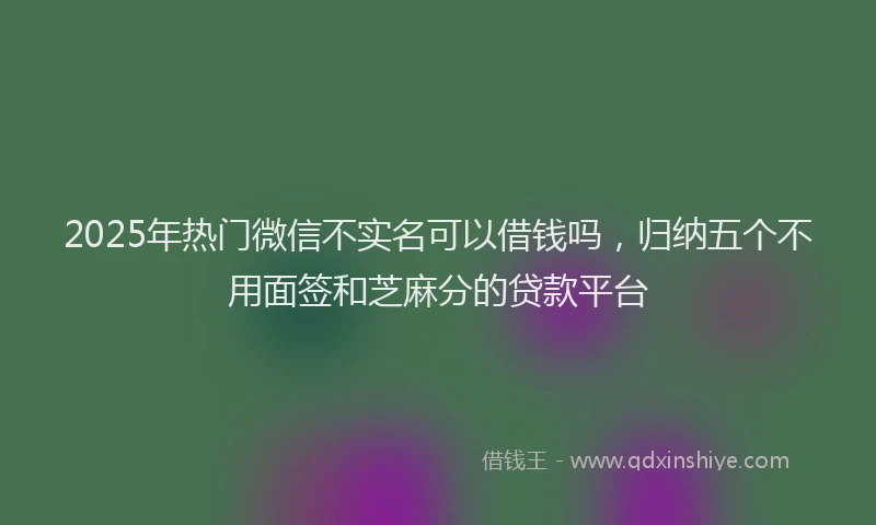 2025年热门微信不实名可以借钱吗，归纳五个不用面签和芝麻分的贷款平台