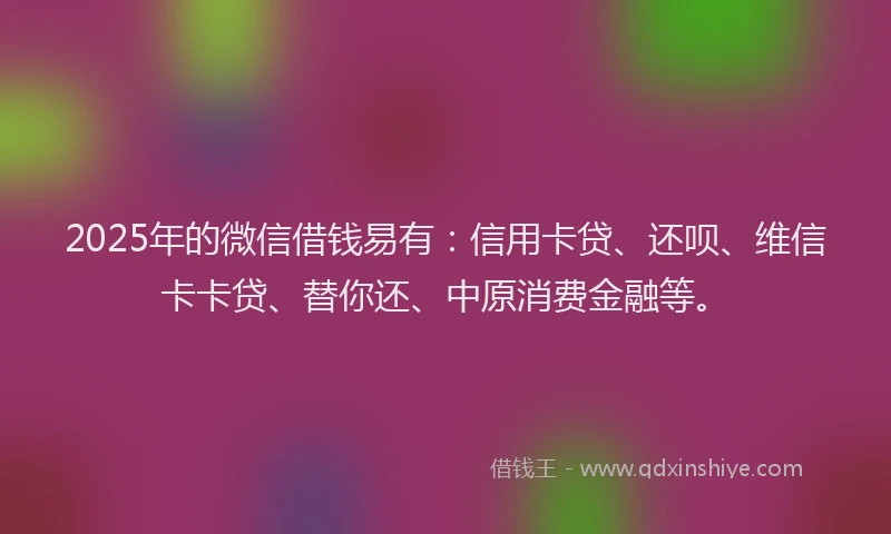 2025年的微信借钱易有：信用卡贷、还呗、维信卡卡贷、替你还、中原消费金融等。