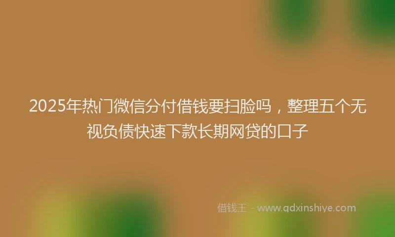 2025年热门微信分付借钱要扫脸吗，整理五个无视负债快速下款长期网贷的口子