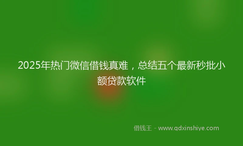 2025年热门微信借钱真难，总结五个最新秒批小额贷款软件