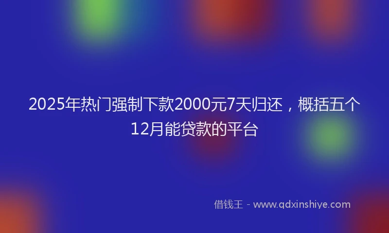 2025年热门强制下款2000元7天归还，概括五个12月能贷款的平台