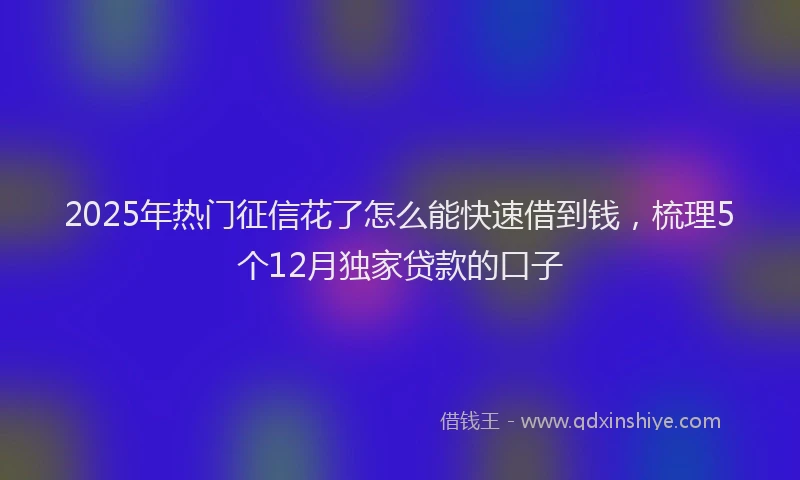 2025年热门征信花了怎么能快速借到钱，梳理5个12月独家贷款的口子