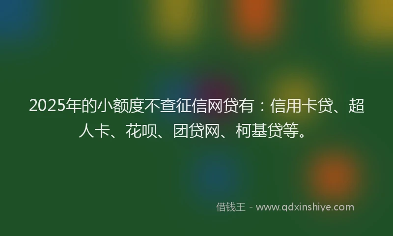 2025年的小额度不查征信网贷有：信用卡贷、超人卡、花呗、团贷网、柯基贷等。