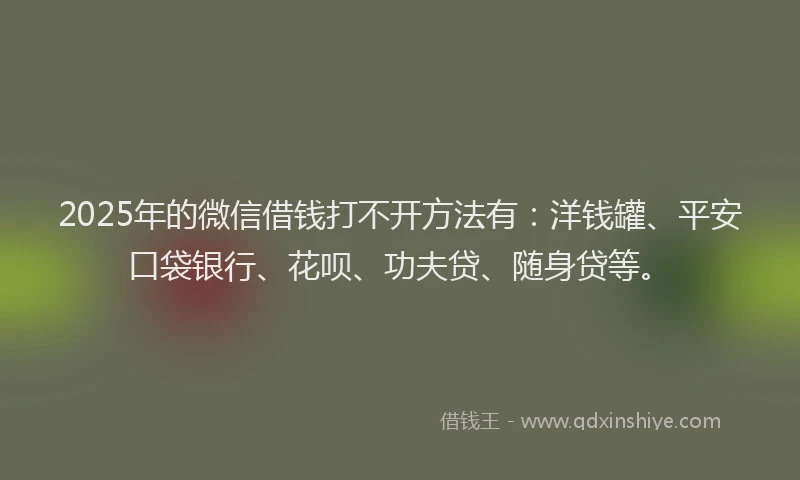 2025年的微信借钱打不开方法有：洋钱罐、平安口袋银行、花呗、功夫贷、随身贷等。