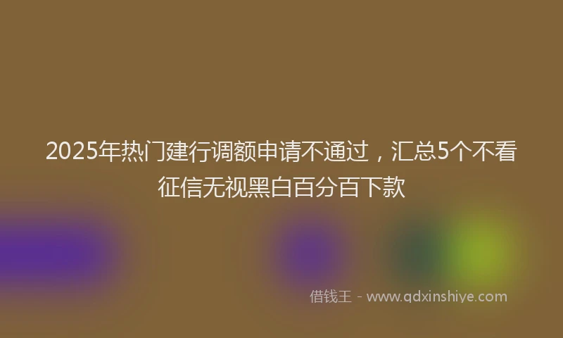 2025年热门建行调额申请不通过，汇总5个不看征信无视黑白百分百下款