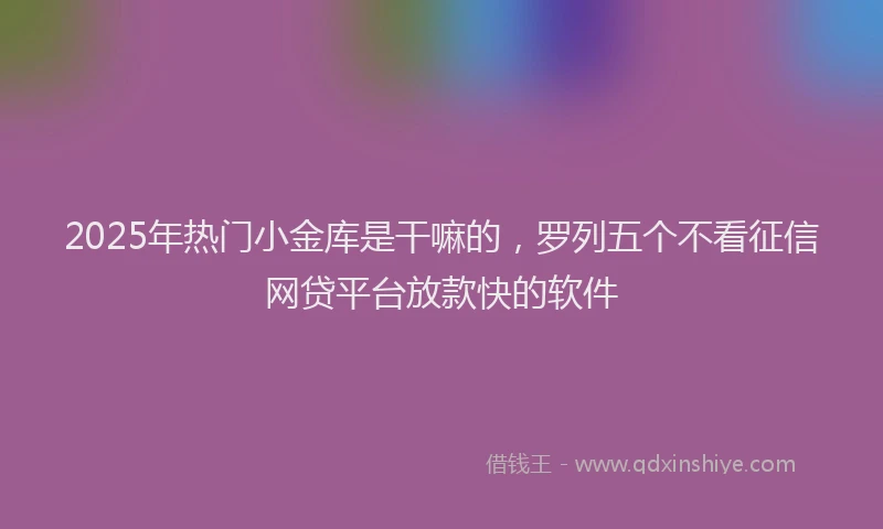 2025年热门小金库是干嘛的，罗列五个不看征信网贷平台放款快的软件