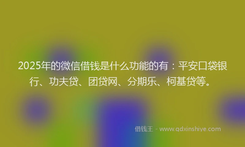 2025年的微信借钱是什么功能的有：平安口袋银行、功夫贷、团贷网、分期乐、柯基贷等。