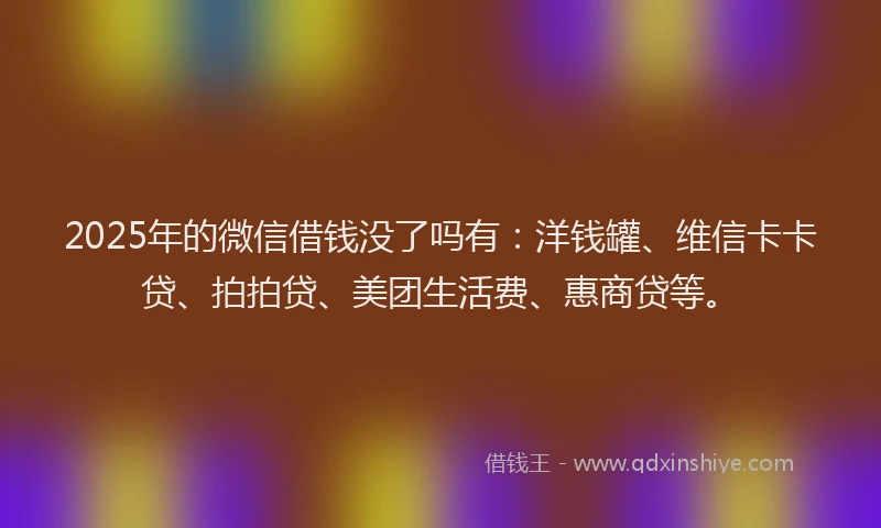 2025年的微信借钱没了吗有：洋钱罐、维信卡卡贷、拍拍贷、美团生活费、惠商贷等。