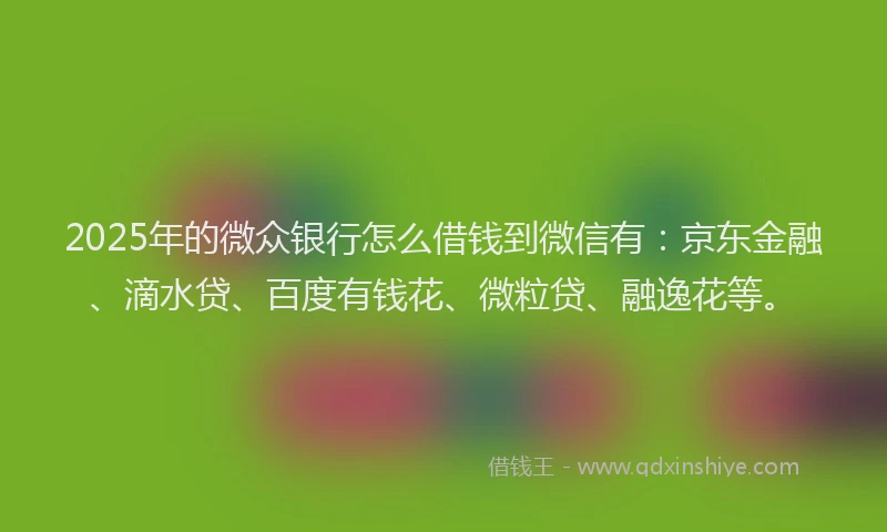 2025年的微众银行怎么借钱到微信有：京东金融、滴水贷、百度有钱花、微粒贷、融逸花等。