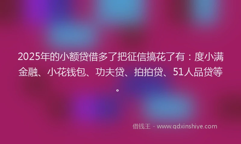 2025年的小额贷借多了把征信搞花了有：度小满金融、小花钱包、功夫贷、拍拍贷、51人品贷等。