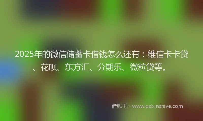 2025年的微信储蓄卡借钱怎么还有：维信卡卡贷、花呗、东方汇、分期乐、微粒贷等。
