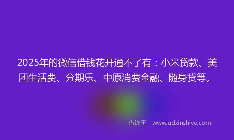 2025年的微信借钱花开通不了有：小米贷款、美团生活费、分期乐、中原消费金融、随身贷等。
